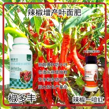 花芽分化彩椒葉面肥水溶肥為峰肥業(yè)辣椒葉面肥