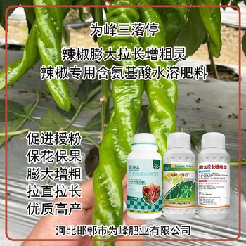 生根壯苗青椒葉面肥價格,為峰肥業廠家