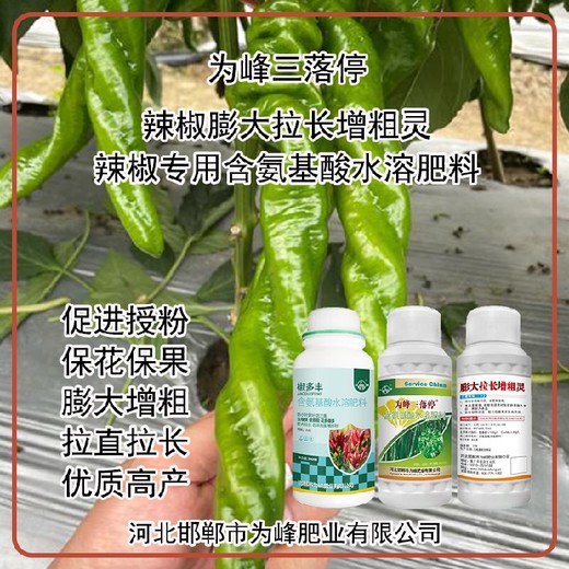 花芽分化辣椒膨大拉直素葉面肥定做包裝,為峰肥業(yè)廠家
