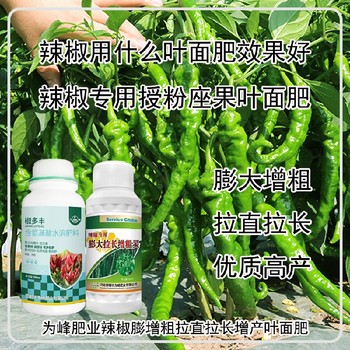 膨大拉長辣椒膨大拉長素葉面肥使用方法,辣椒增產(chǎn)液