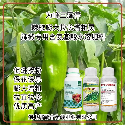 花芽分化圓椒葉面肥定做,辣椒增產(chǎn)液