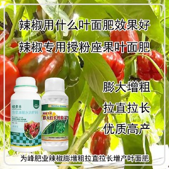 促進授粉辣椒膨大拉長增粗靈葉面肥價格,為峰肥業(yè)廠家