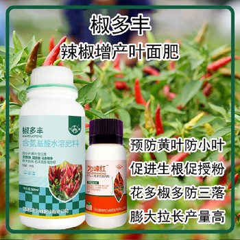 生根壯苗朝天椒葉面肥招商為峰肥業(yè)辣椒葉面肥