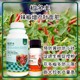 促進(jìn)授粉辣椒葉面肥哪里賣(mài)圖