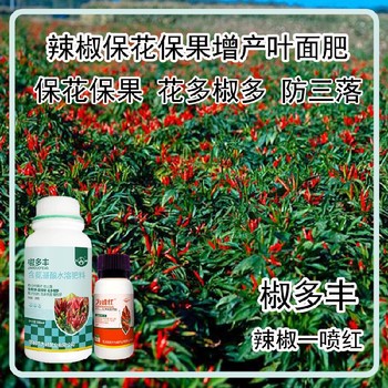 生根壯苗彩椒葉面肥用法用量辣椒葉面肥廠家批發(fā)