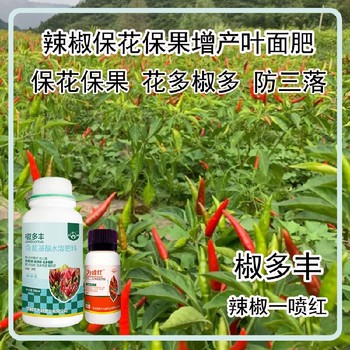 生根壯苗彩椒葉面肥用法用量辣椒葉面肥廠家批發(fā)