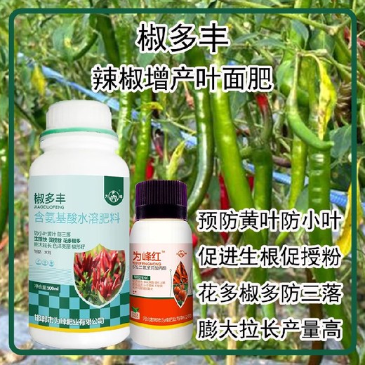 ?；ū９苯啡~面肥定做為峰肥業(yè)辣椒葉面肥