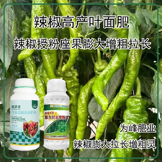 生根壯苗辣椒膨大拉長素葉面肥功效,為峰肥業(yè)廠家