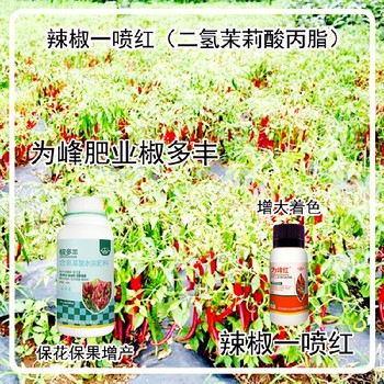 生根壯苗椒多豐葉面肥用法用量為峰肥業(yè)辣椒葉面肥