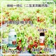 促進(jìn)授粉辣椒葉面肥生產(chǎn)廠(chǎng)家辣椒葉面肥廠(chǎng)家批發(fā)產(chǎn)品圖