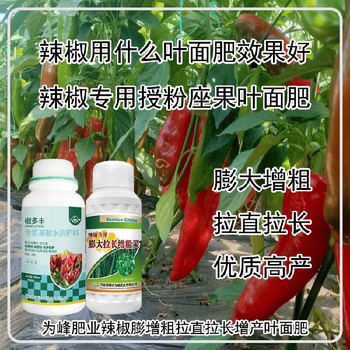 生根壯苗辣椒葉面肥招商,辣椒增產(chǎn)液