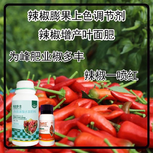 生根壯苗椒多豐葉面肥作用為峰肥業(yè)辣椒葉面肥