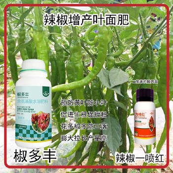 生根壯苗朝天椒葉面肥招商為峰肥業(yè)辣椒葉面肥