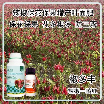 生根壯苗線椒葉面肥廠家電話辣椒葉面肥廠家批發(fā)