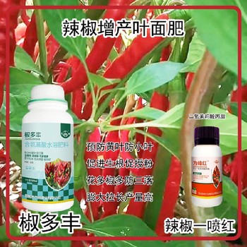 促進(jìn)授粉菜椒葉面肥廠家電話為峰肥業(yè)辣椒葉面肥
