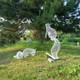 鏤空松鼠雕塑圖