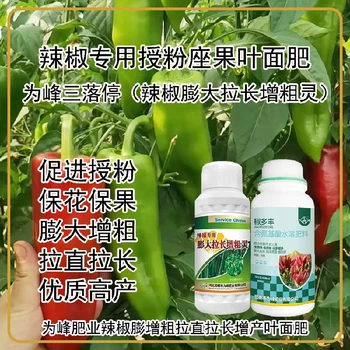 花芽分化辣椒膨大拉直素葉面肥銷售經(jīng)理,為峰肥業(yè)廠家