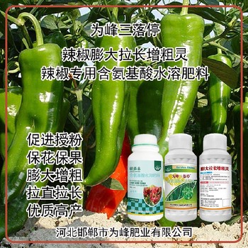 促进授粉菜椒叶面肥作用,为峰肥业厂家
