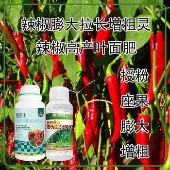 膨大拉長辣椒膨大拉長素葉面肥使用方法,辣椒增產(chǎn)液