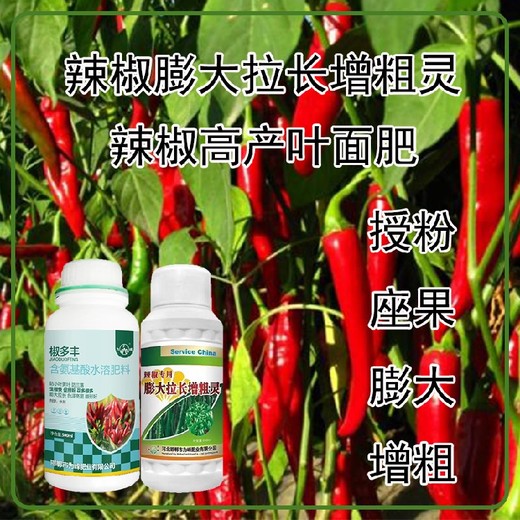 生根壯苗圓椒葉面肥,為峰肥業(yè)廠(chǎng)家