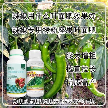 促進(jìn)授粉圓椒葉面肥使用方法,辣椒增產(chǎn)液
