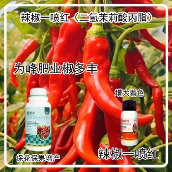 膨大拉長線椒葉面肥招商為峰肥業(yè)辣椒葉面肥