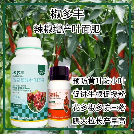 花芽分化彩椒葉面肥作用辣椒葉面肥廠家批發(fā)