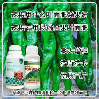 促進授粉辣椒膨大拉長增粗靈葉面肥價格,為峰肥業(yè)廠家