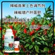 花芽分化彩椒葉面肥生產(chǎn)廠家圖