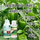 促進授粉辣椒葉面肥水溶肥圖
