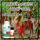 生根壯苗小米辣葉面肥用法用量辣椒葉面肥廠家批發(fā)產(chǎn)品圖