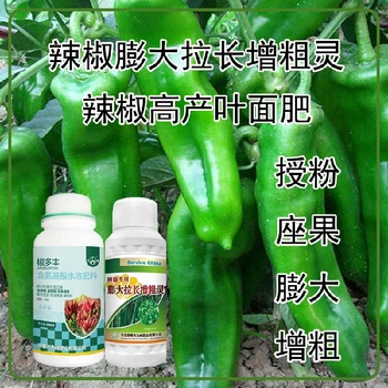 膨大拉長圓椒葉面肥廠家電話,辣椒增產(chǎn)液