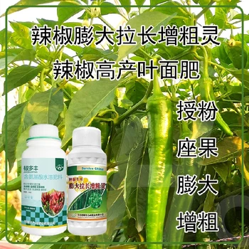 增粗增產(chǎn)青椒葉面肥生產(chǎn)廠家,為峰肥業(yè)廠家