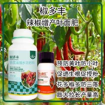 膨大拉長線椒葉面肥招商為峰肥業(yè)辣椒葉面肥