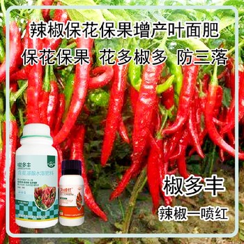 膨大拉長線椒葉面肥招商為峰肥業(yè)辣椒葉面肥