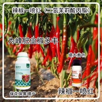 膨大拉長(zhǎng)朝天椒葉面肥效果為峰肥業(yè)辣椒葉面肥