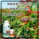 促進(jìn)授粉線(xiàn)椒葉面肥生產(chǎn)廠(chǎng)家為峰肥業(yè)辣椒葉面肥產(chǎn)品圖