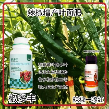 生根壯苗椒多豐葉面肥用法用量為峰肥業(yè)辣椒葉面肥