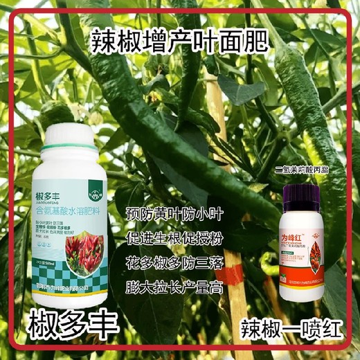 花芽分化菜椒葉面肥效果為峰肥業(yè)辣椒葉面肥