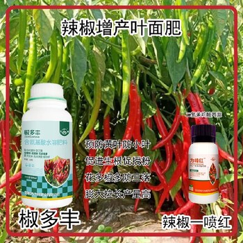 保花保果線椒葉面肥效果辣椒葉面肥廠家批發(fā)