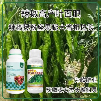 花芽分化菜椒葉面肥定做,為峰肥業(yè)廠(chǎng)家