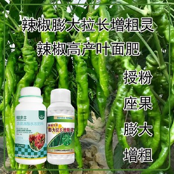 生根壯苗青椒葉面肥貼牌,為峰肥業(yè)廠家