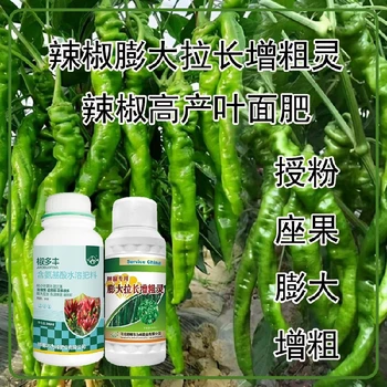 增粗增產(chǎn)青椒葉面肥生產(chǎn)廠家,為峰肥業(yè)廠家
