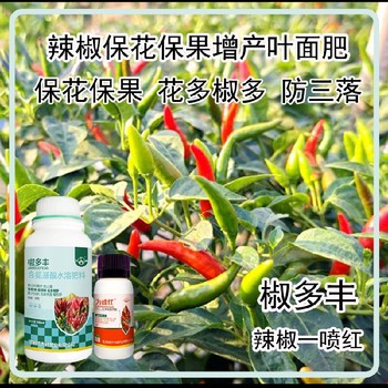 花芽分化彩椒葉面肥水溶肥為峰肥業(yè)辣椒葉面肥