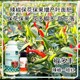促進授粉椒多豐葉面肥生產廠家圖