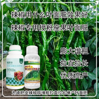 花芽分化菜椒葉面肥生產(chǎn)廠(chǎng)家,為峰肥業(yè)廠(chǎng)家