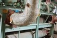 興化吸收式溴化鋰冷水機回收上門報價