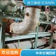 吸收式溴化鋰?yán)渌畽C(jī)回收圖
