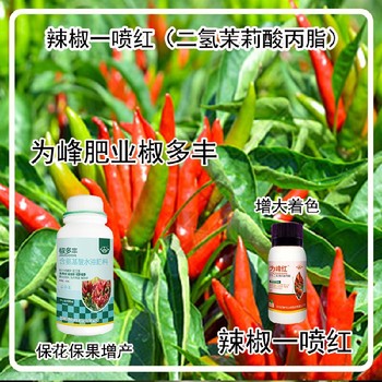 花芽分化朝天椒葉面肥多少錢為峰肥業(yè)辣椒葉面肥