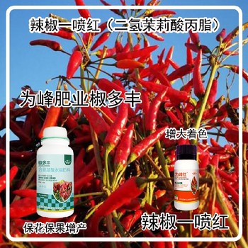 生根壯苗朝天椒葉面肥招商為峰肥業(yè)辣椒葉面肥